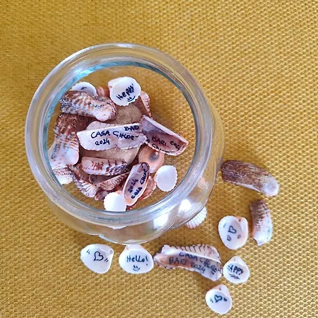 Casa Chloe - Vicino Al Porto E Basilica San Nicola Διαμέρισμα